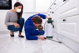 Best Residential Pest Control  in Bonsall, CA